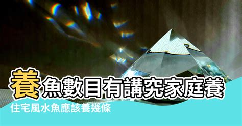 家庭養魚數量|養風水魚數量攻略：命格五行對應養魚條數 